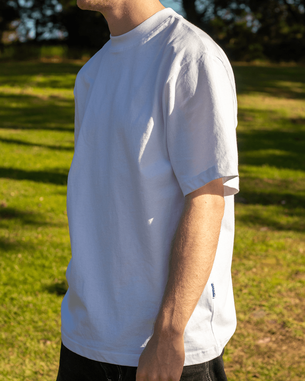 t-shirt blank -  white